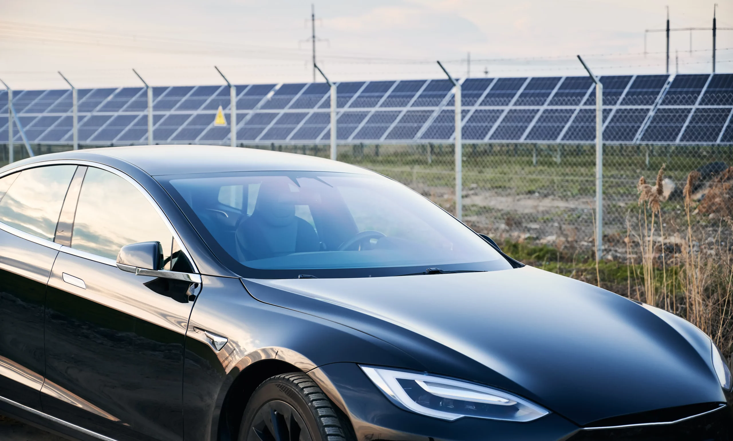 tesla (2)